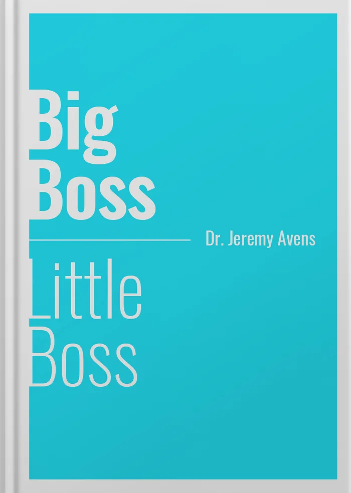 Big Boss, Little Boss book cover